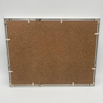 Amazon.co.jp: レア モルフォ蝶 アート 標本 芸術 コレクション 海外