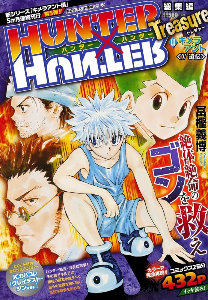 HUNTER×HUNTER総集編 Treasure 11 (集英社マンガ総集編シリーズ