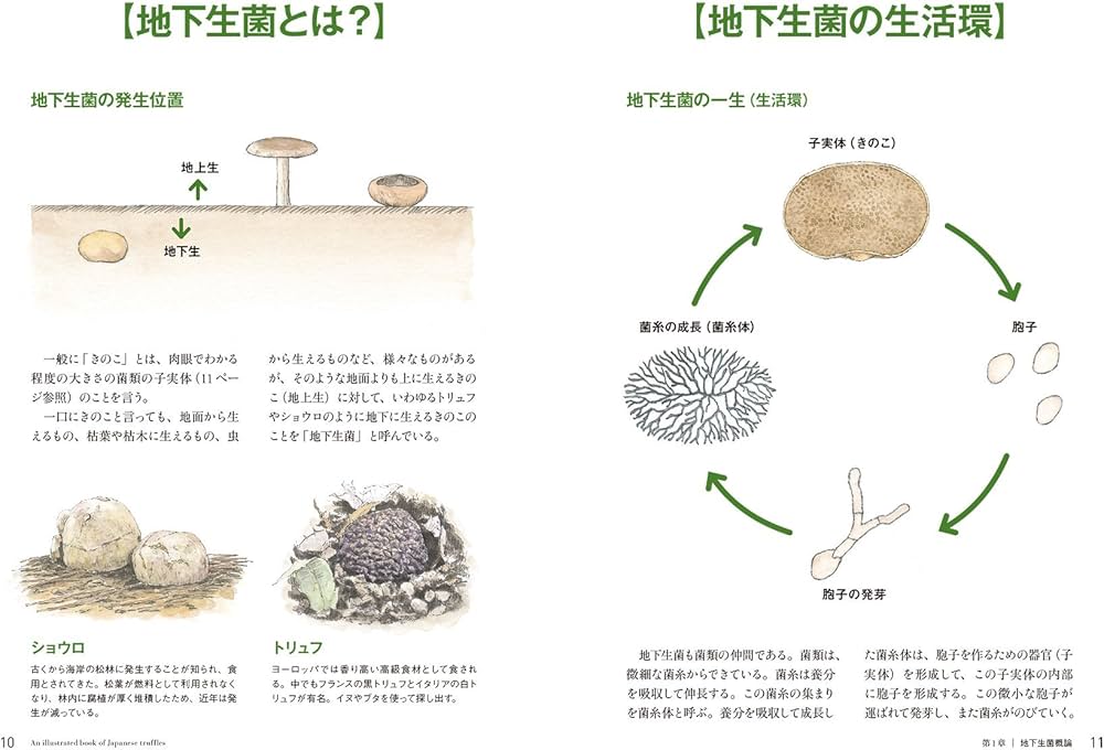 Amazon.co.jp: 地下生菌識別図鑑: 日本のトリュフ。地下で進化した