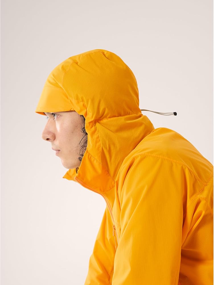 Amazon.co.jp: [アークテリクス] ARCTERYX スコーミッシュフーディ男性