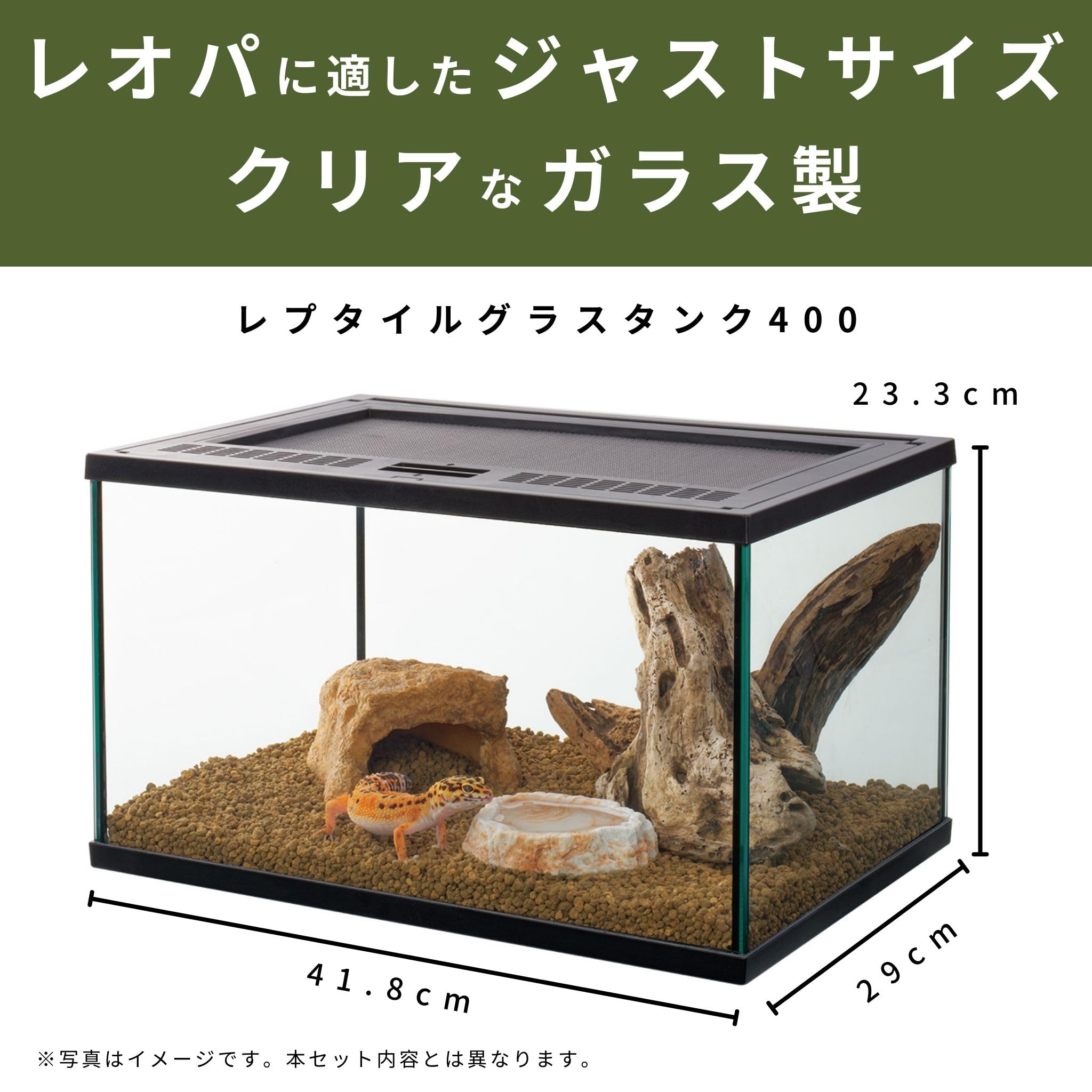 Amazon | スドー レオパ 飼育 セット キット 爬虫類 ヤモリ ガラス