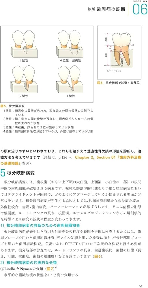 Ishiyaku the BASICS 新ベーシックペリオ: ここからはじめる歯周治療の