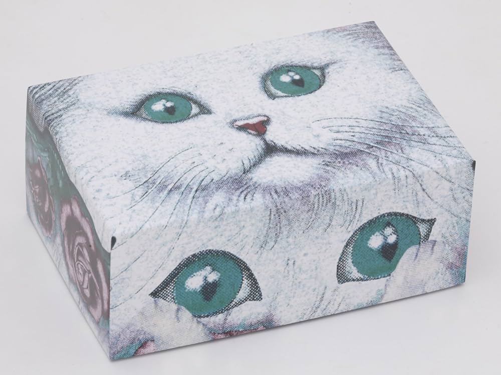 Amazon.co.jp: ムチャチャ←→あちゃちゅむ【限定】Special Gift Box : 本