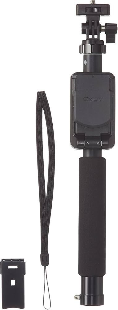 Amazon | CASIO デジタルカメラ EXILIM EX-FR10/FR100/FR200用 純正