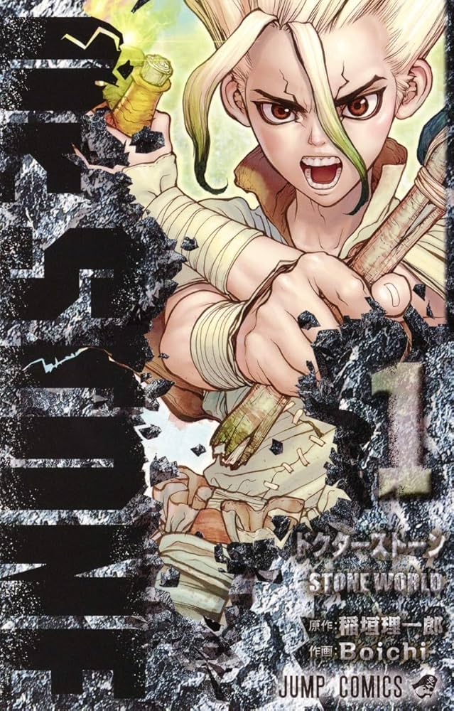 DR STONE 1 (MANGA VO JAPONAIS): BOICHI: 9784088811840: Amazon.com