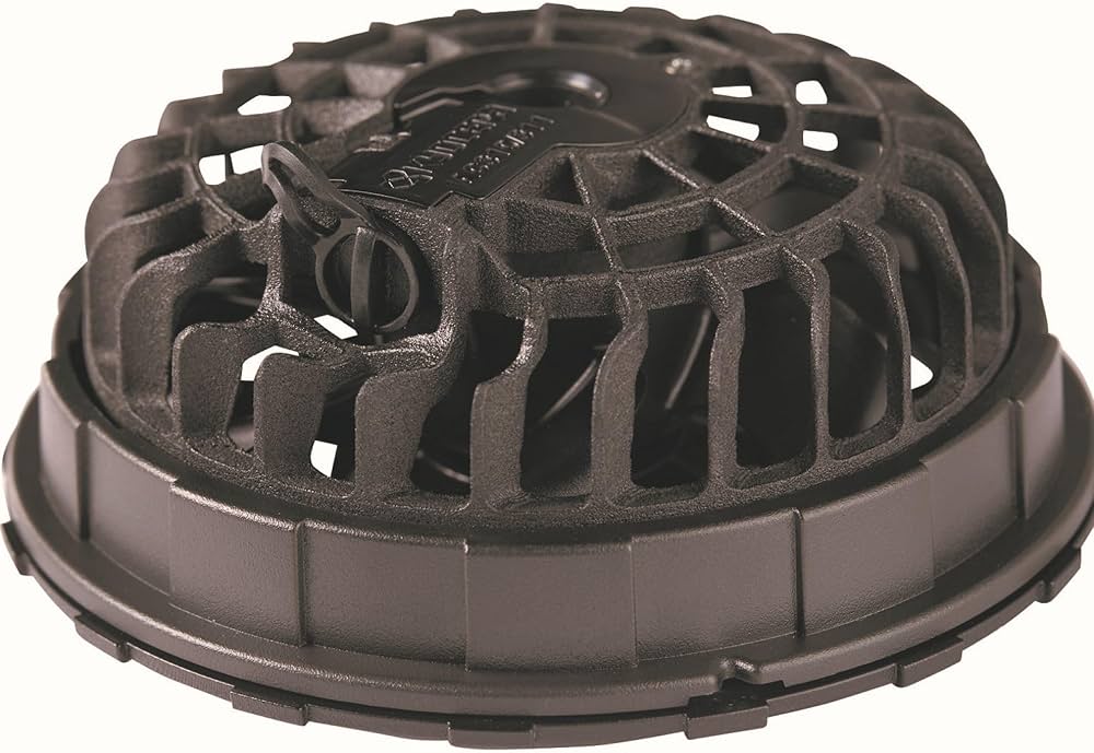 71m01O4pNjL._AC_UF1000,