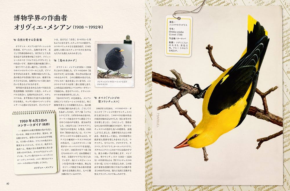 フランスの美しい鳥の絵図鑑 | ロベール=ダニエル・エチェコパル