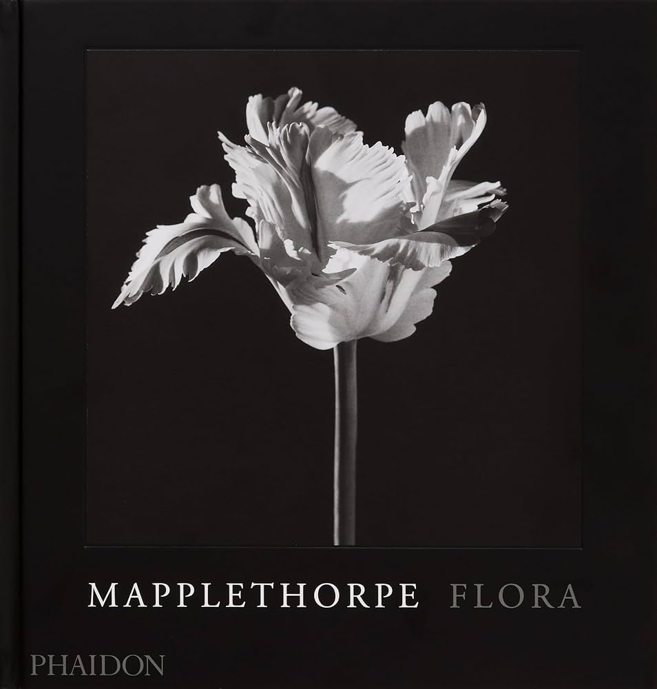 Amazon.com: Mapplethorpe Flora: The Complete Flowers