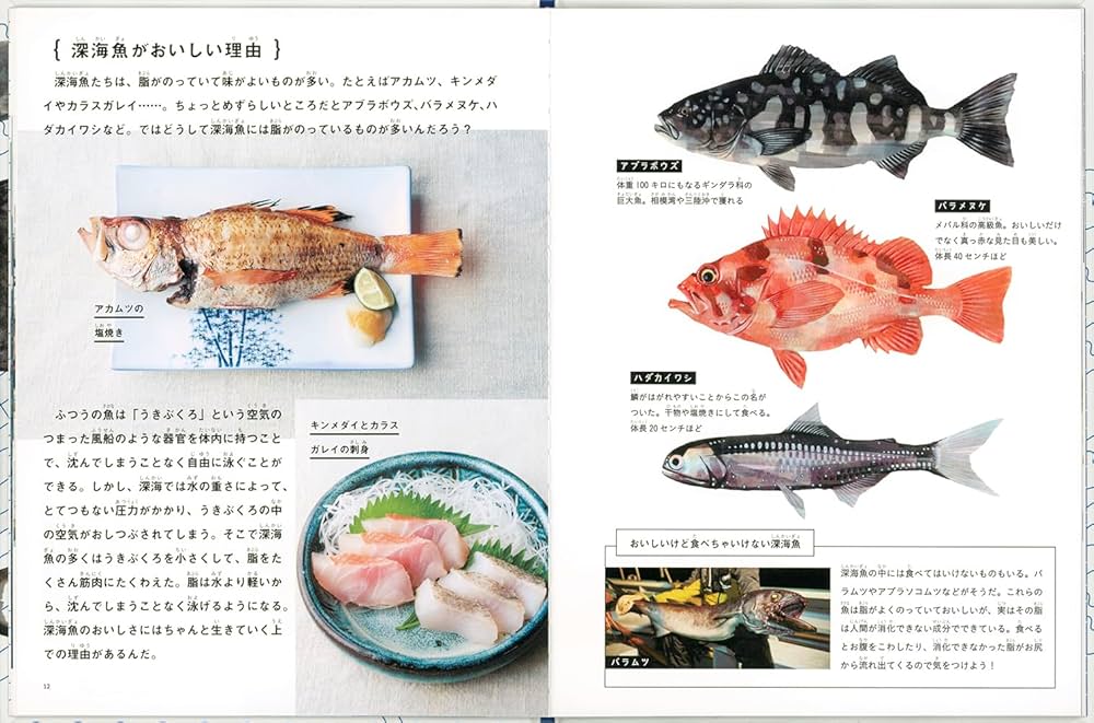 Amazon.co.jp: 釣って 食べて 調べる 深海魚 (たくさんのふしぎ傑作集