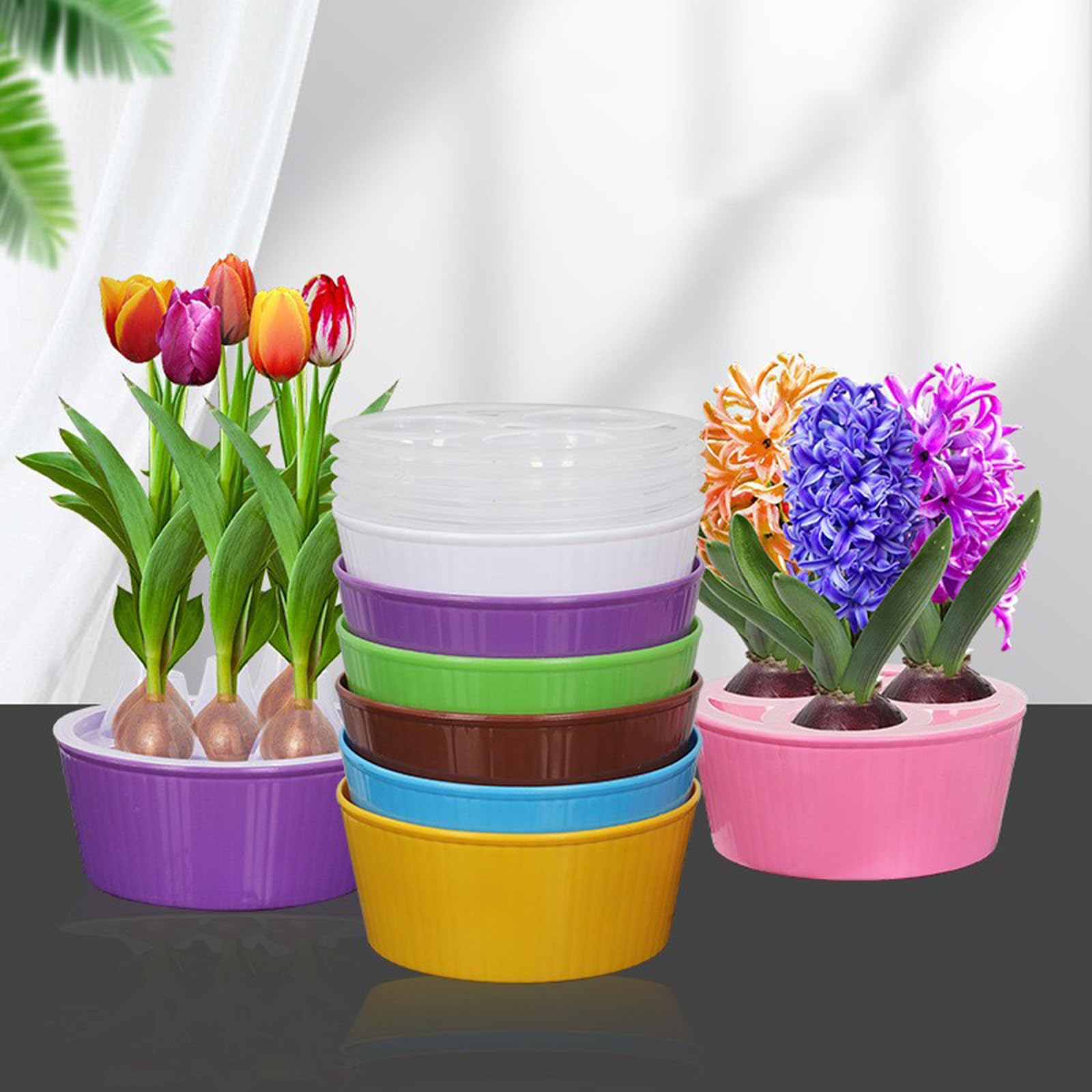 Amazon.co.jp: WWNNEKKのチューリップ水耕ポット 5穴のチューリップ