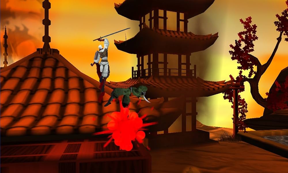 Amazon.com: Shinobi /3DS : Everything Else