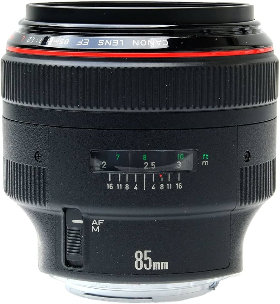 Amazon.com : Canon EF 85mm f/1.2L USM Lens for Canon SLR Cameras
