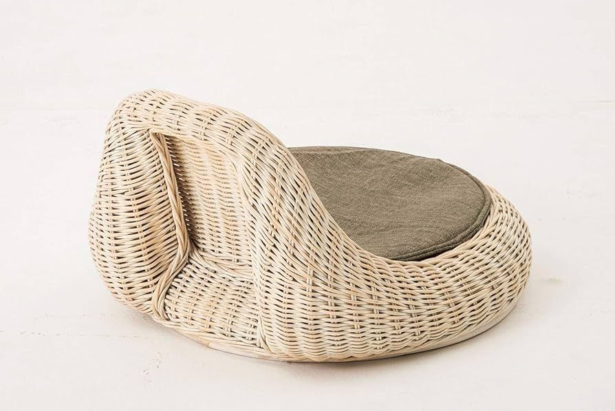 Amazon｜桜屋工業 座椅子 Homeday 幅44×奥51×高25.5cm ホワイト