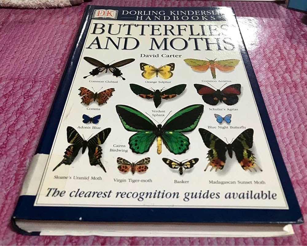 Butterflies and Moths (Eyewitness Handbooks): Carter, David