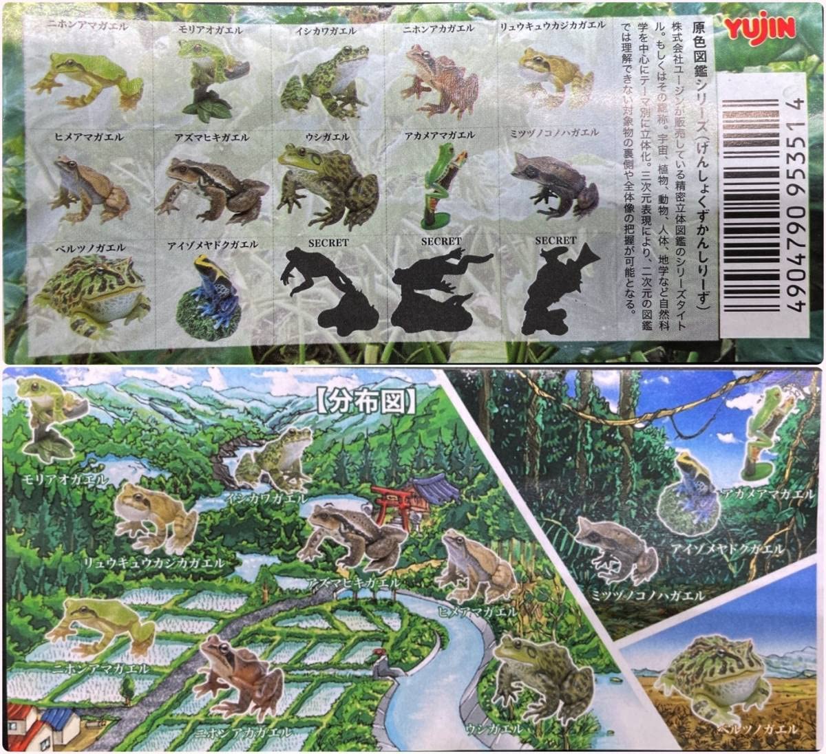 Amazon.co.jp: ユージン原色両生類 カエル図鑑（新改訂版） イシカワ