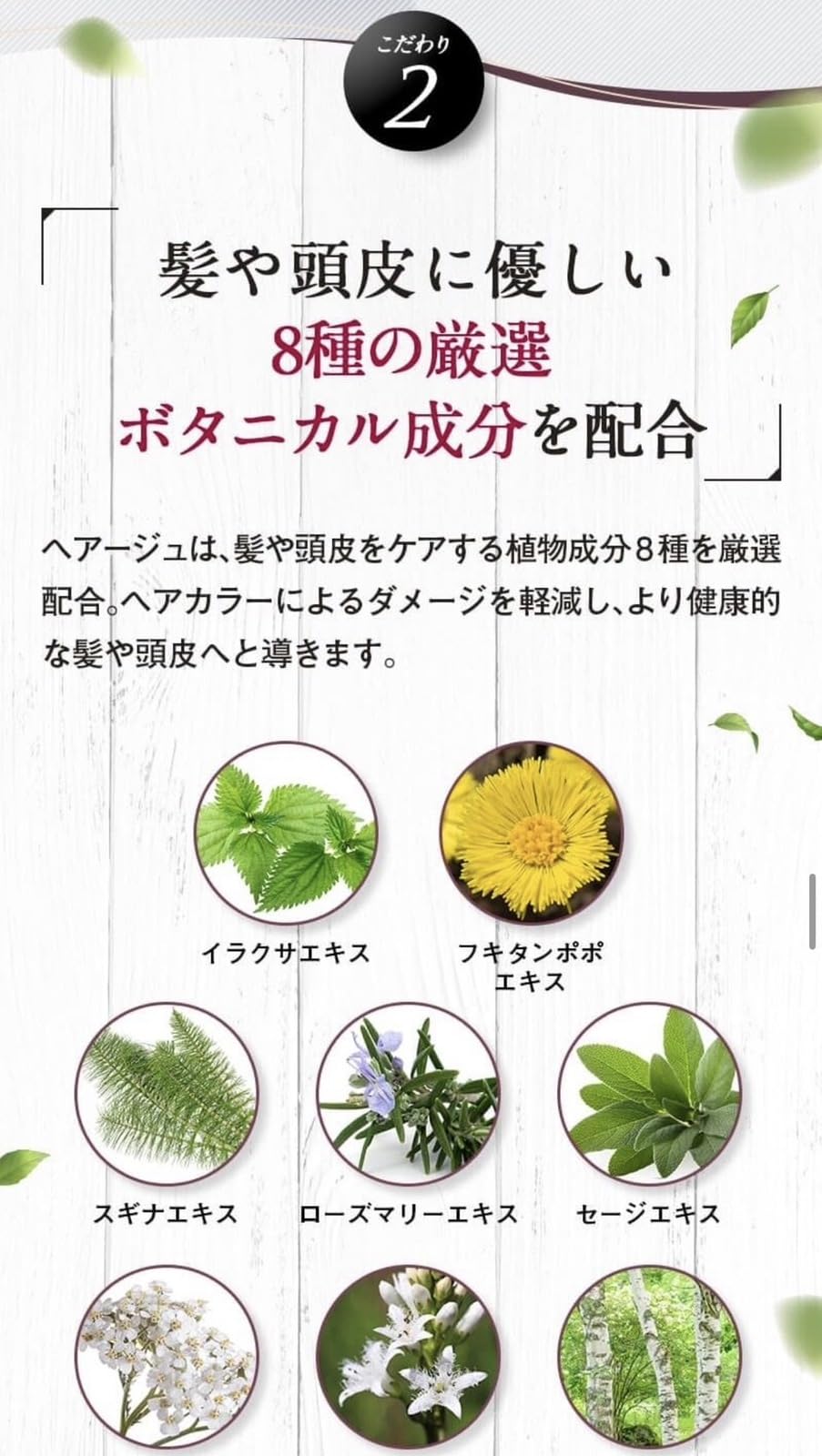 Amazon | ヘアージュ ヘアカラー フォーム ダークブラウン 茶 80g 医薬