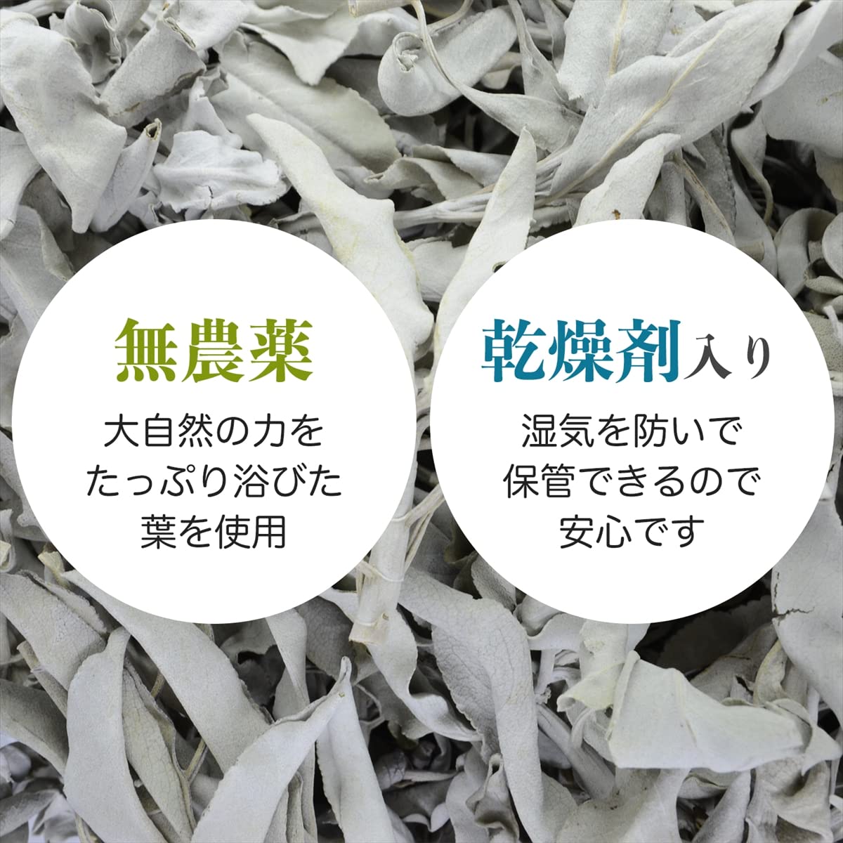Amazon | 無農薬 ホワイトセージ 枝付き (クラスター) 約50g