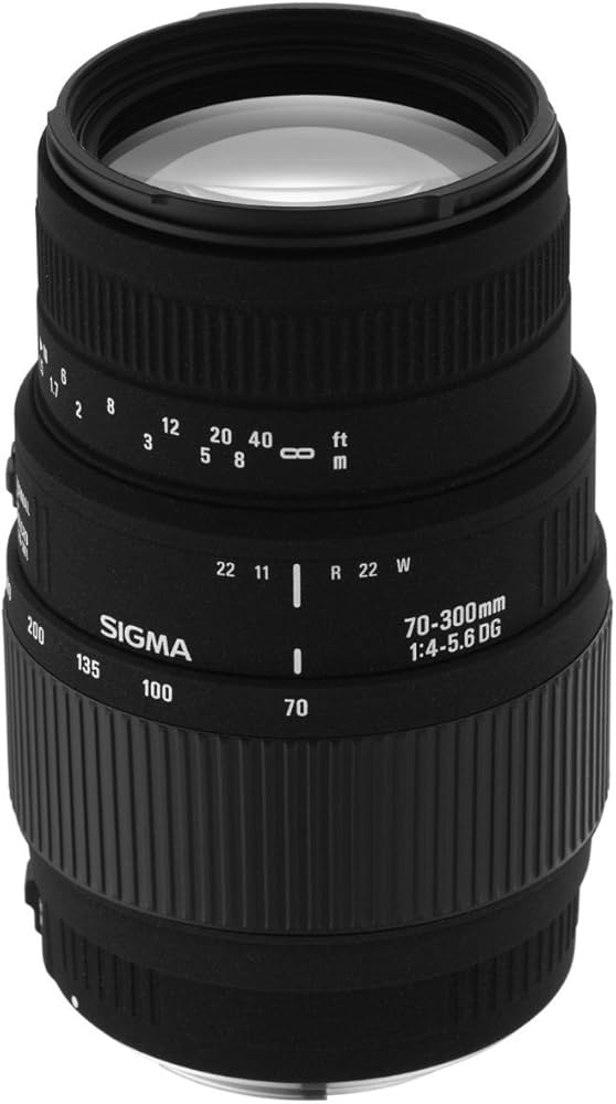 Sigma AF 70-300mm f4-5.6 DG Macro Nikon Fit Lens: Amazon.co.uk