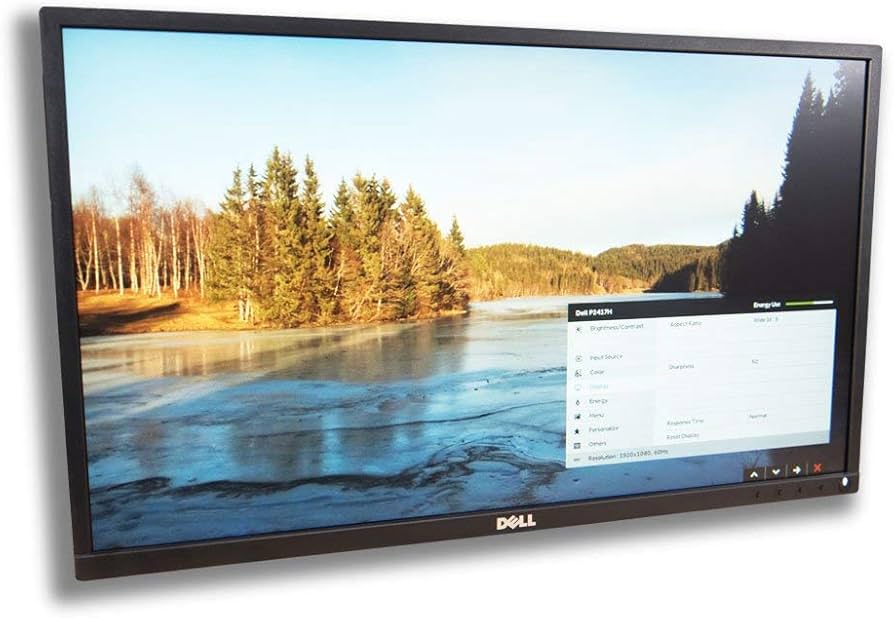 Amazon.com: Dell Professional P2417H 24-Inch LED-Lit Monitor