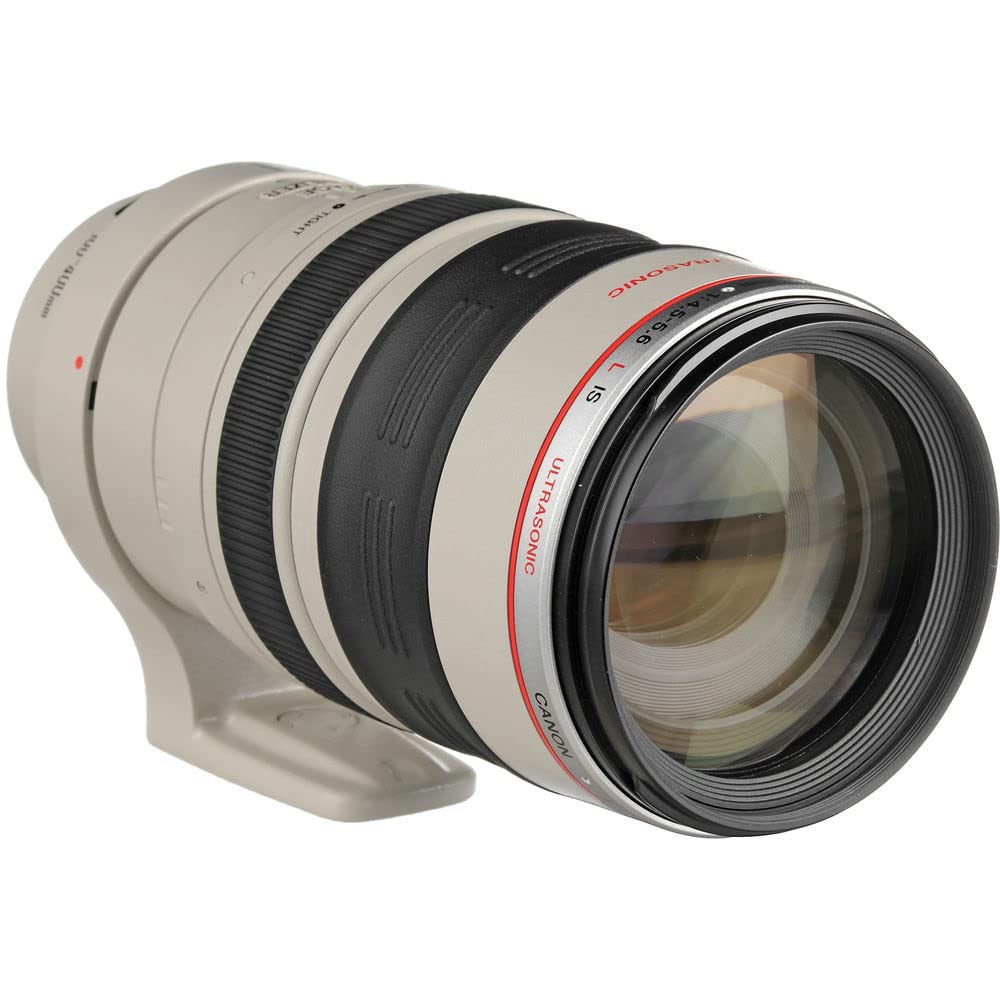 Amazon.com : Canon EF 100-400mm f/4.5-5.6L IS USM Telephoto Zoom