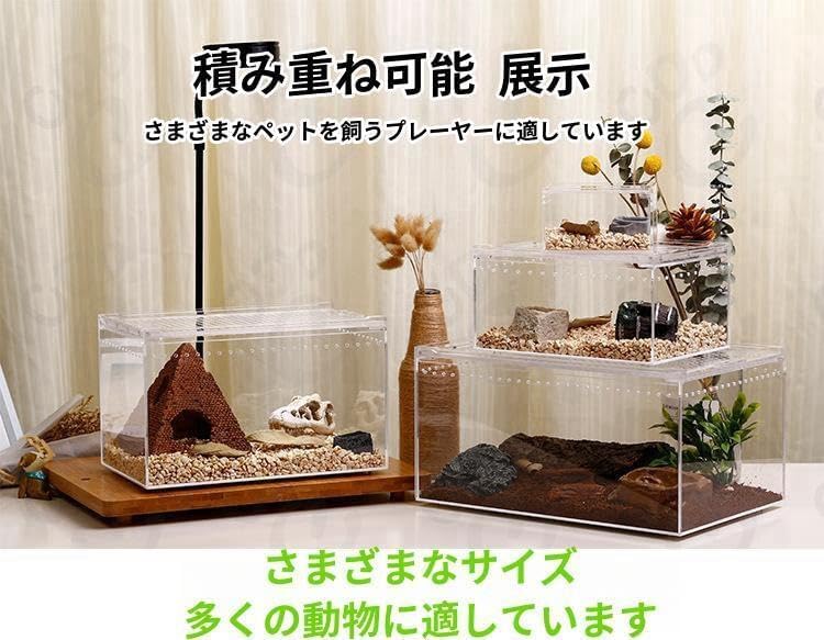 Amazon | レプタイルボックス 爬虫類 飼育ケース 虫かご 大 透明