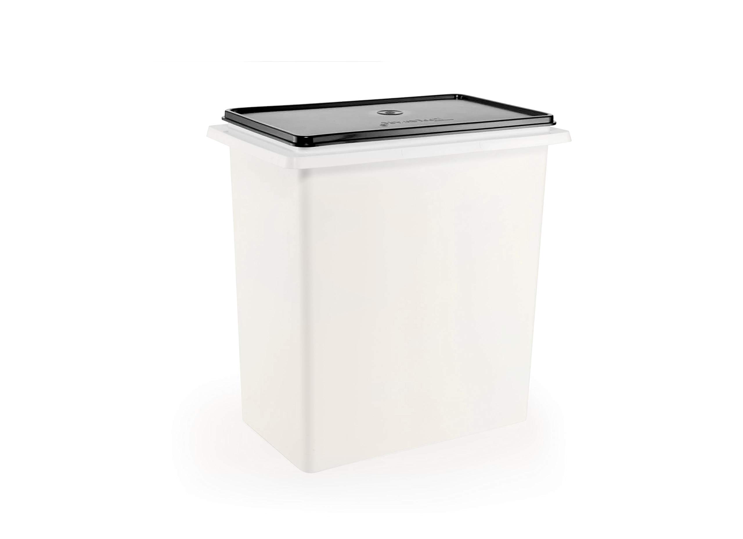 昭和レトロ タッパーウェア 10キロキーパー2個、取っ手1つセット