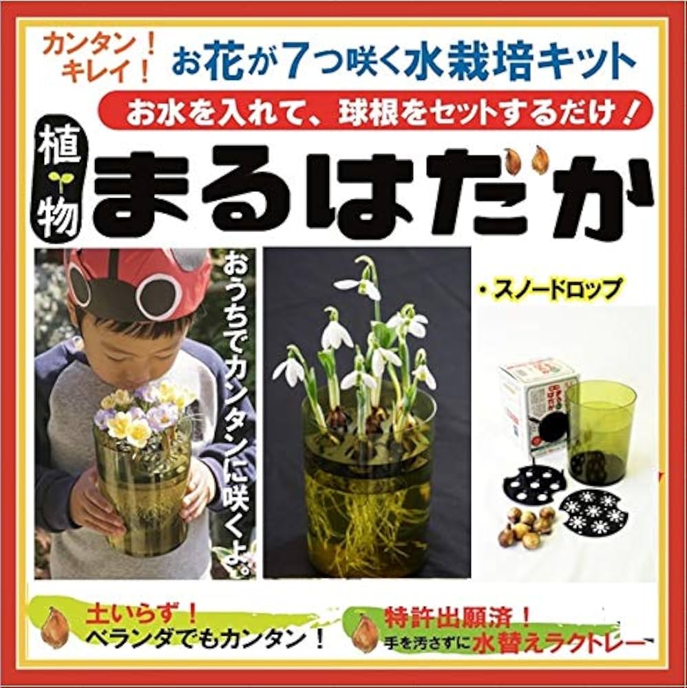 Amazon | 予約商品 植物まるはだか スノードロップ球根水栽培セット