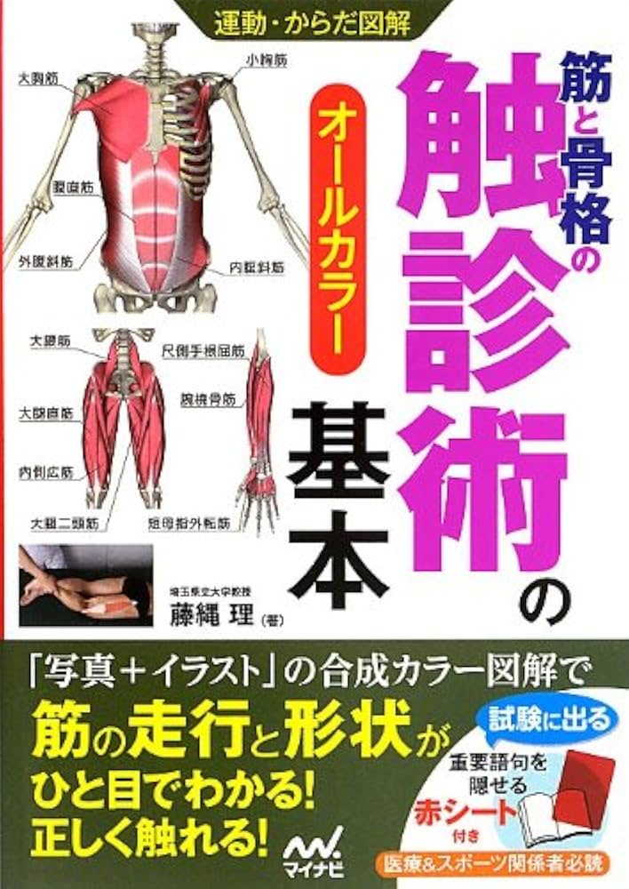 運動・からだ図解 筋と骨格の触診術の基本 | 藤縄 理 |本 | 通販 | Amazon