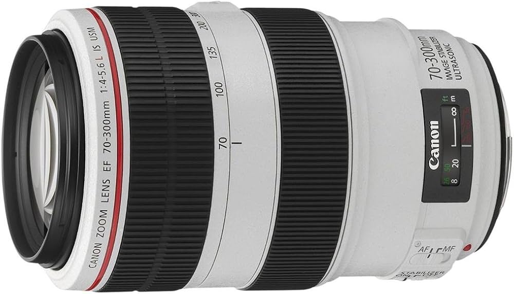 Amazon.co.jp: Canon EFレンズ EF70-300mm F4-5.6L IS USM ズーム
