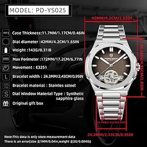 Amazon.com: RollsTimi Pagani Design Men's Watch, PD-YS025, Men's