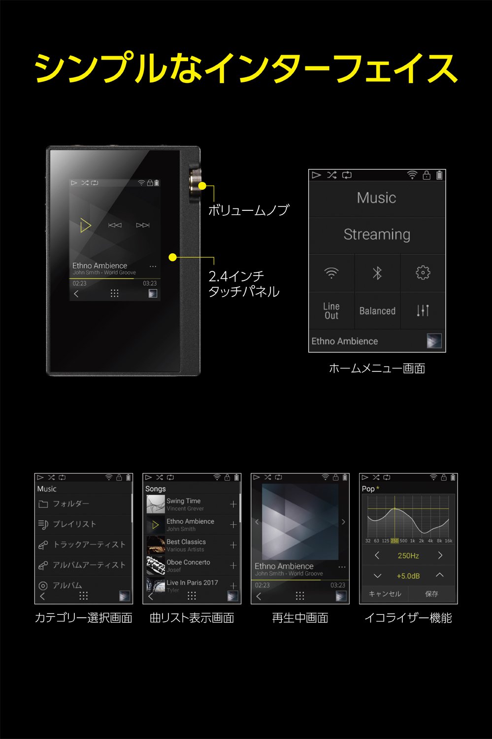 Amazon.com: ONKYO rubato DP-S1(B)【Ultrahigh Resolution Play