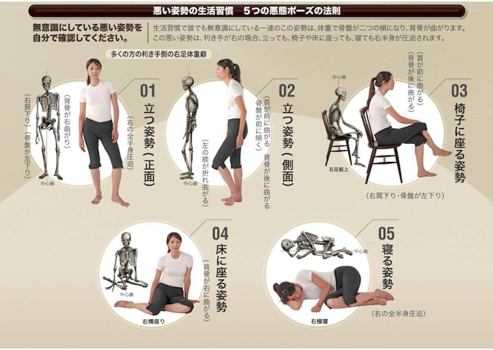 Amazon.co.jp: ヘルスパワー ゲルマバランサーバンド GBH-LL LLサイズ