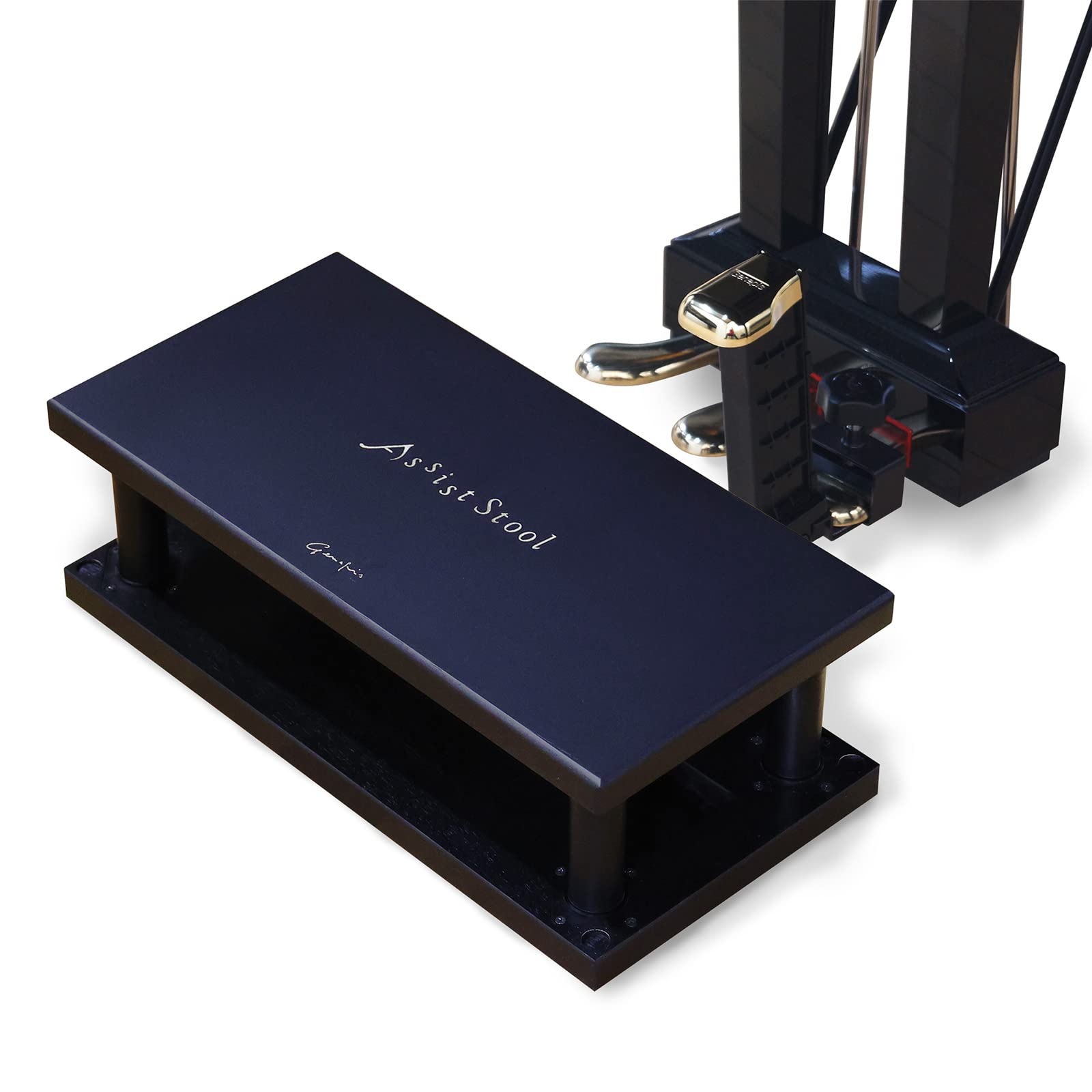 Amazon.co.jp: 【セット商品】 ジェネピス アシストセット 2023年