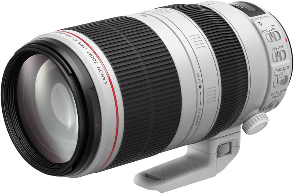 Amazon.co.jp: Canon EF 100-400mm f/4.5-5.6L IS II USM : Electronics