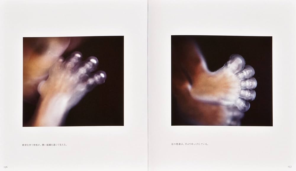 61udNPNZ62S._AC_UF1000,