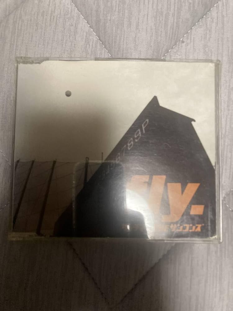 Amazon.co.jp: サカナクション レア ダッチマン the サンコンズ FLY