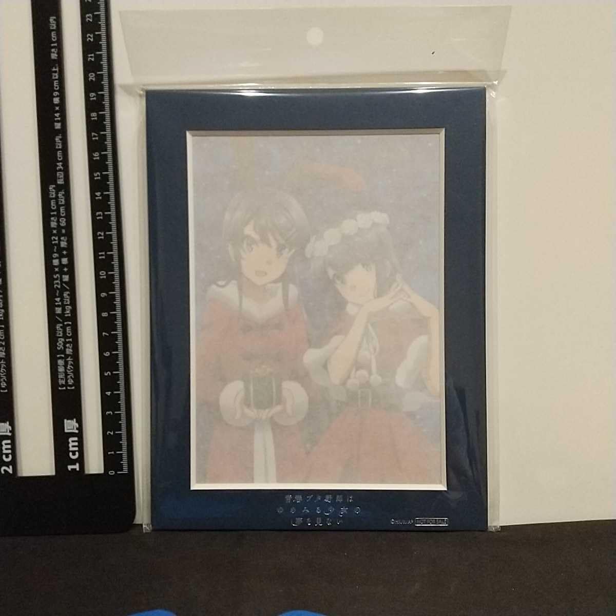 Amazon.co.jp: 桜島麻衣＆牧之原翔子 X masスペシャル ポートレート