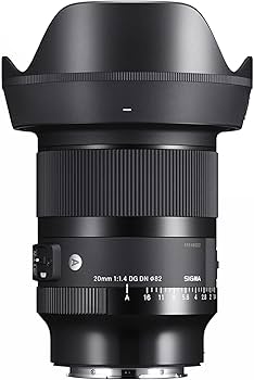 Amazon.com : Sigma 20mm f/1.4 DG DN Art Lens for L Mount : Electronics