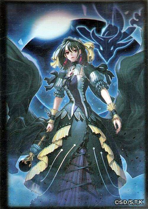 Amazon.co.jp: 遊戯王カード 特製デュエリストカードプロテクター 閉