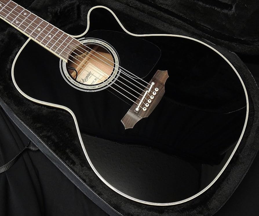 Amazon | Takamine TDP561C タカミネ エレアコ アコースティックギター