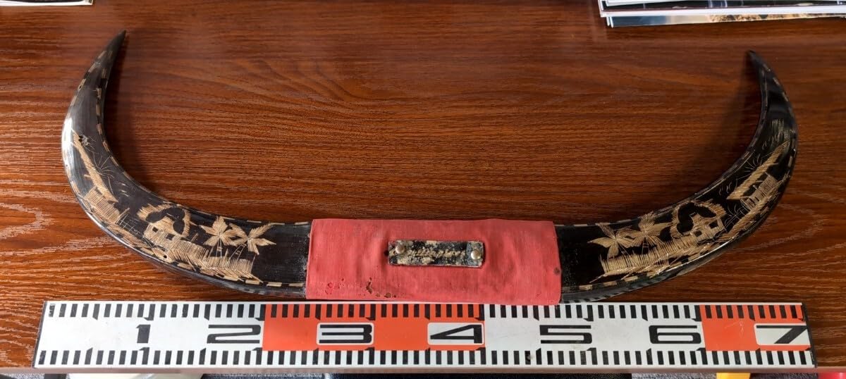 Amazon.co.jp: 水牛 角 置物 インテリア 装飾 オブジェ 飾り