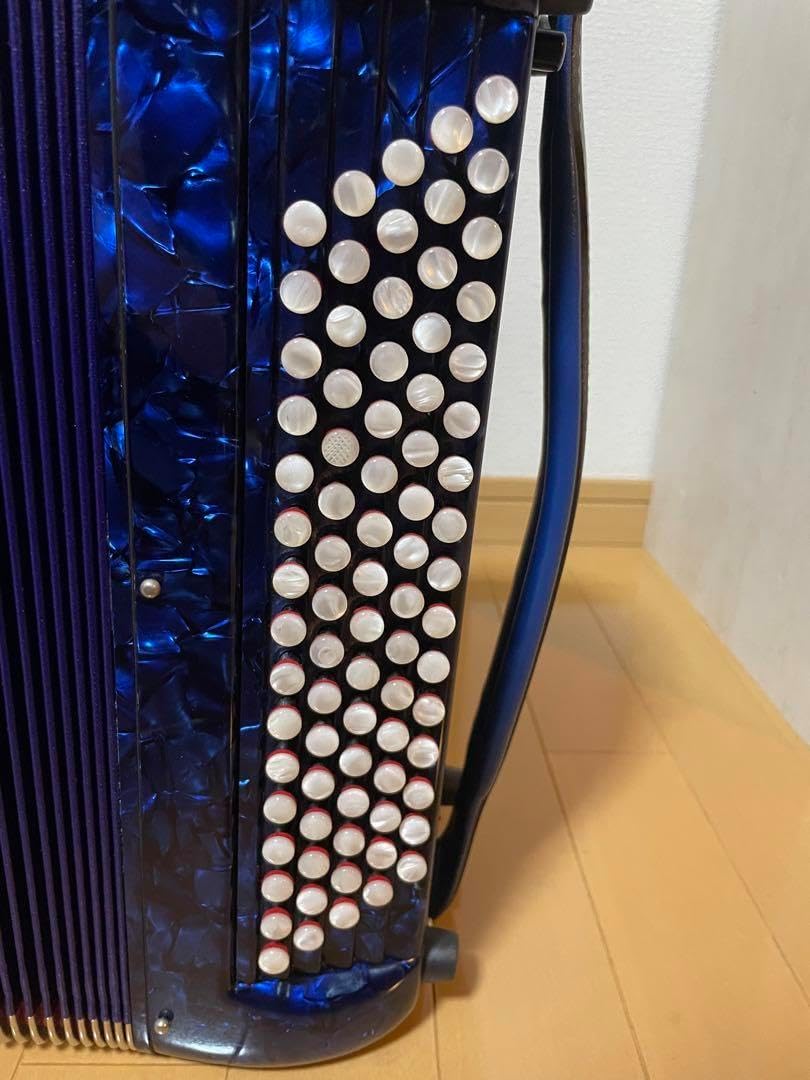 ヒ*ム様 Piermaria ボタン式アコーディオン ハードケース付