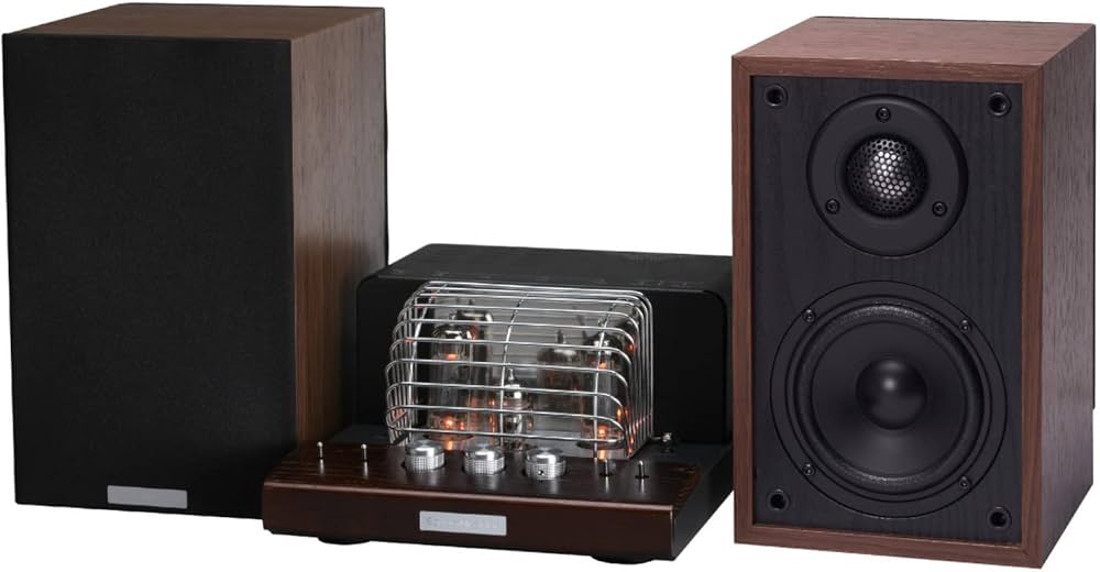 Amazon.co.jp: SOUNDWARRIOR 日本製 真空管アンプ ＆ パッシブ