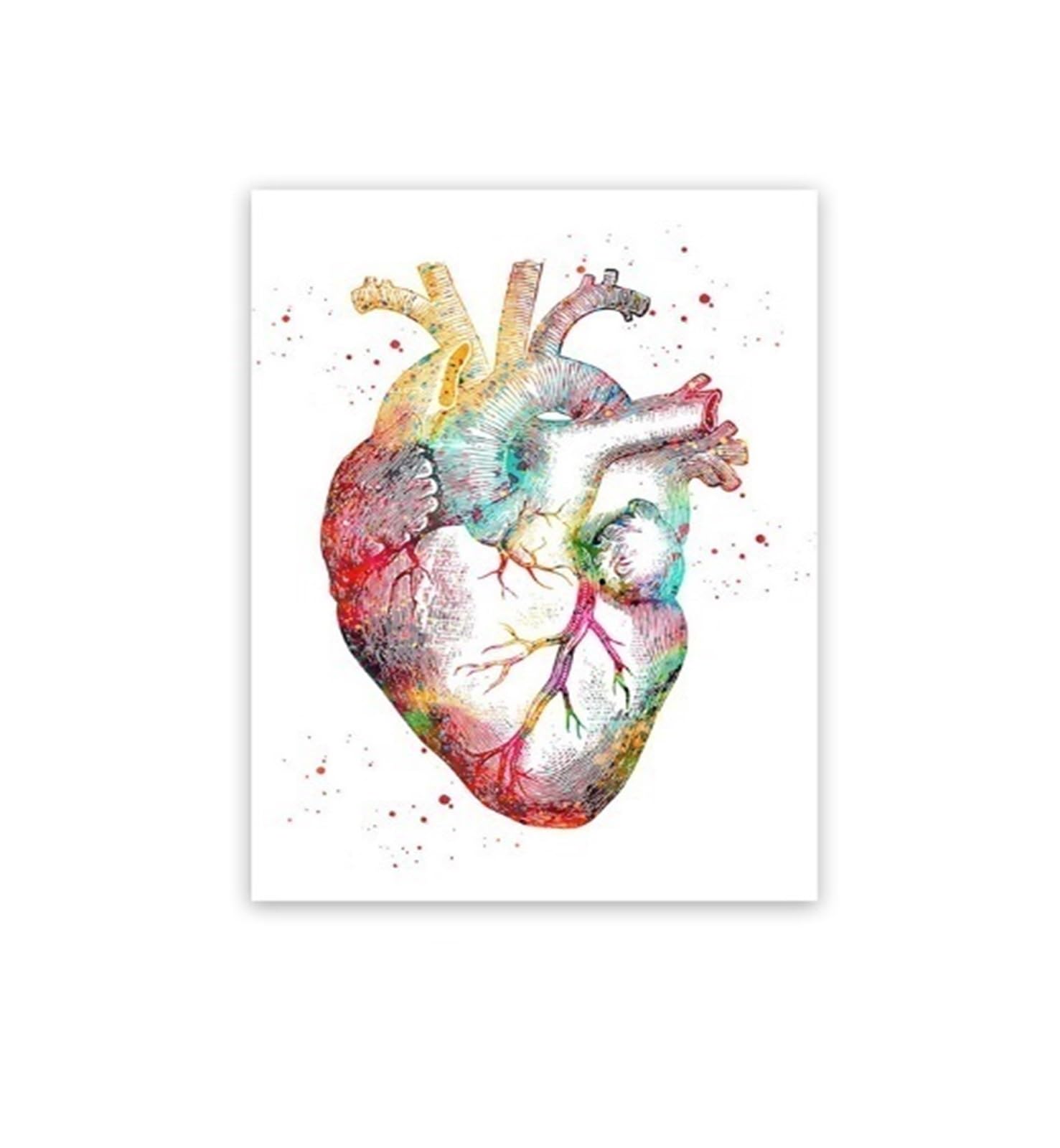 Amazon.co.jp: 水彩人間の心臓脳肺解剖アートキャンバス絵画解剖アート