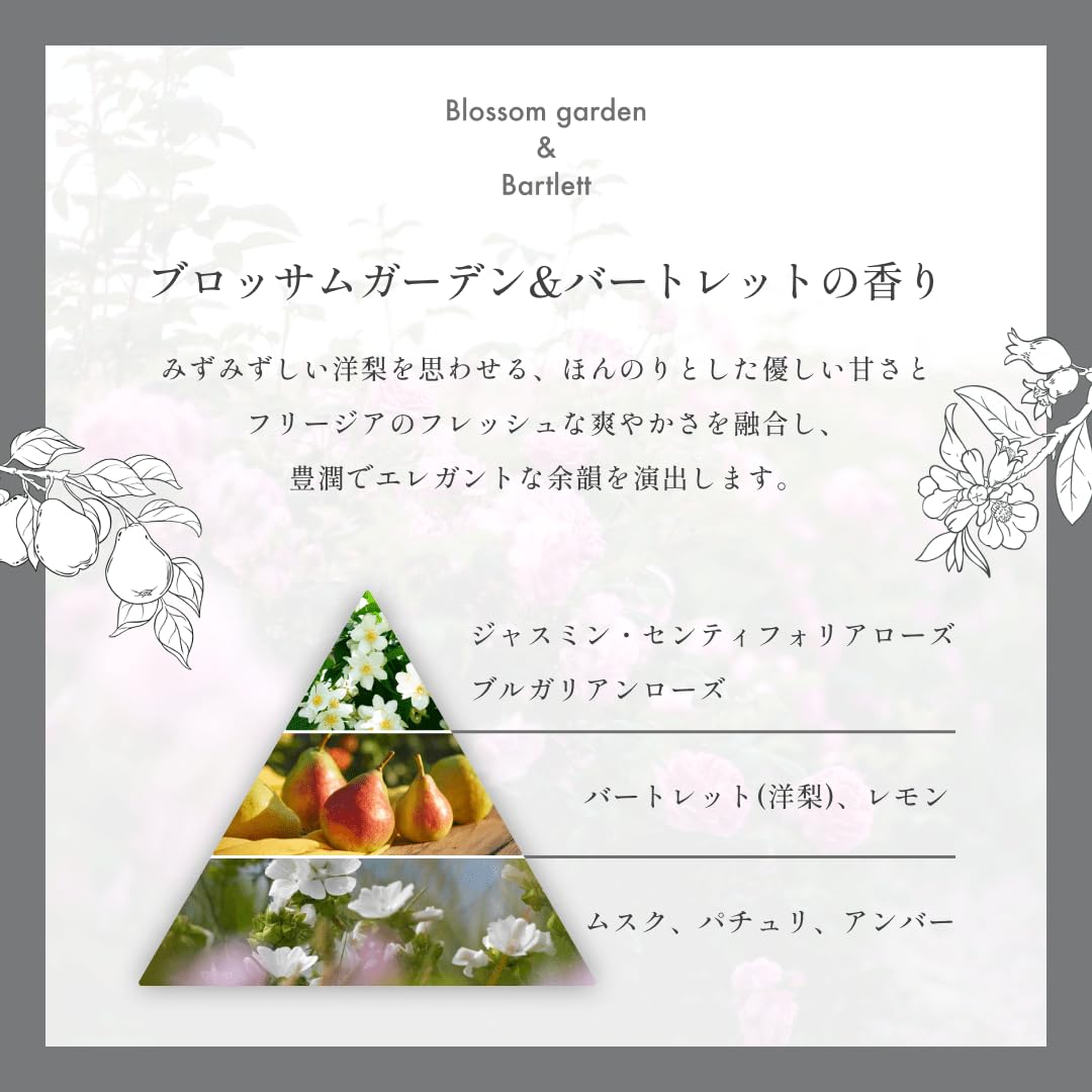 Amazon | 【公式】soiré シャンプー&トリートメント詰め替えセット