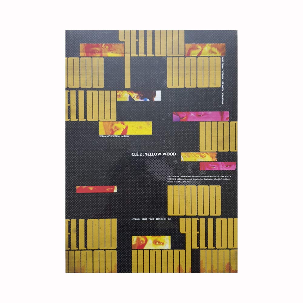 Amazon.com: STRAY KIDS Special Album - CLE 2 : Yellow Wood