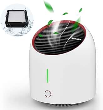 61Ea6CGsZnS._AC_UF350,