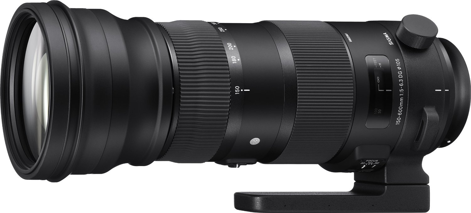 Amazon.com : Sigma 150-600mm 5-6.3 Sports DG OS HSM Lens for Canon