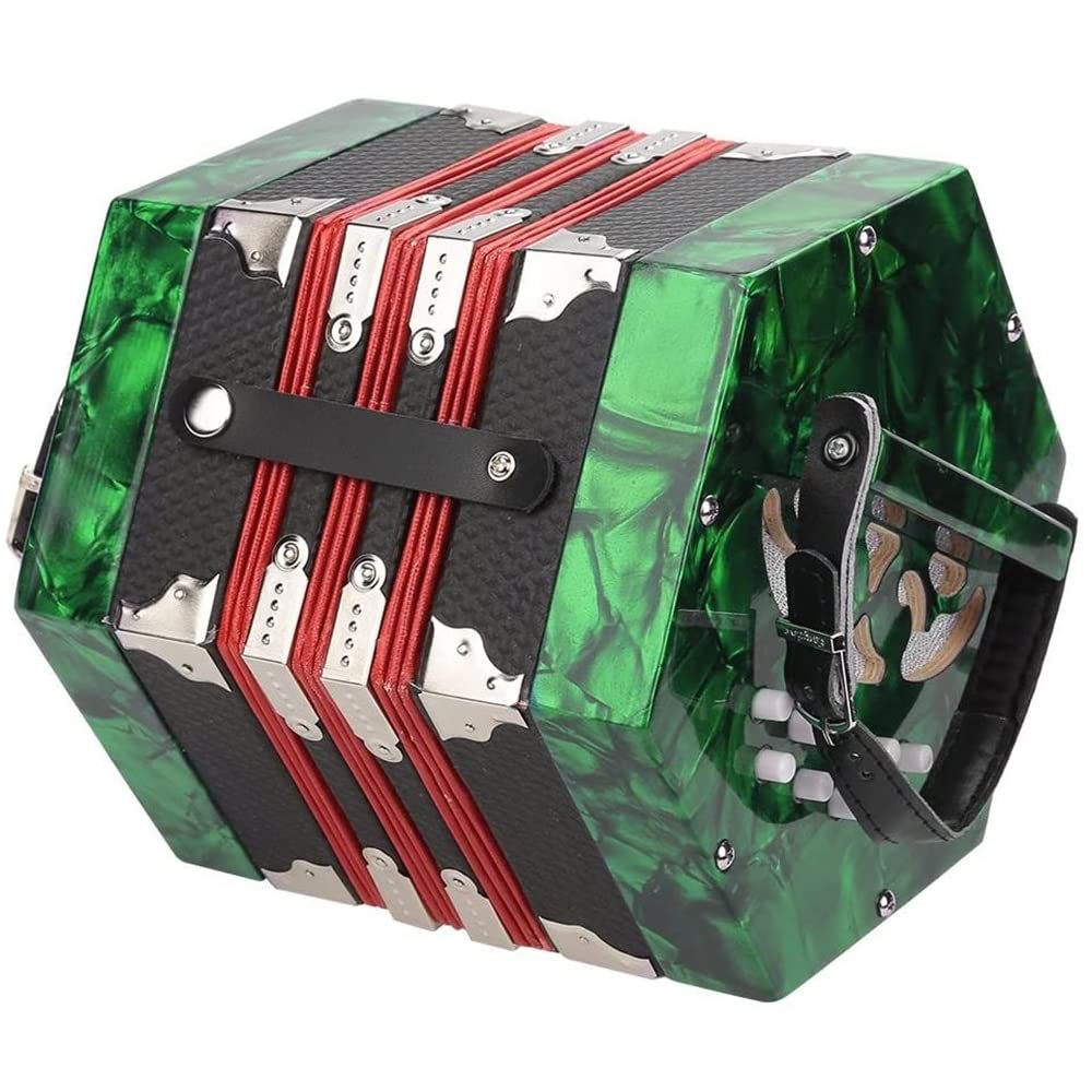 Amazon | 20ボタンアコーディオンコンサーティーナ、学びやすい音楽