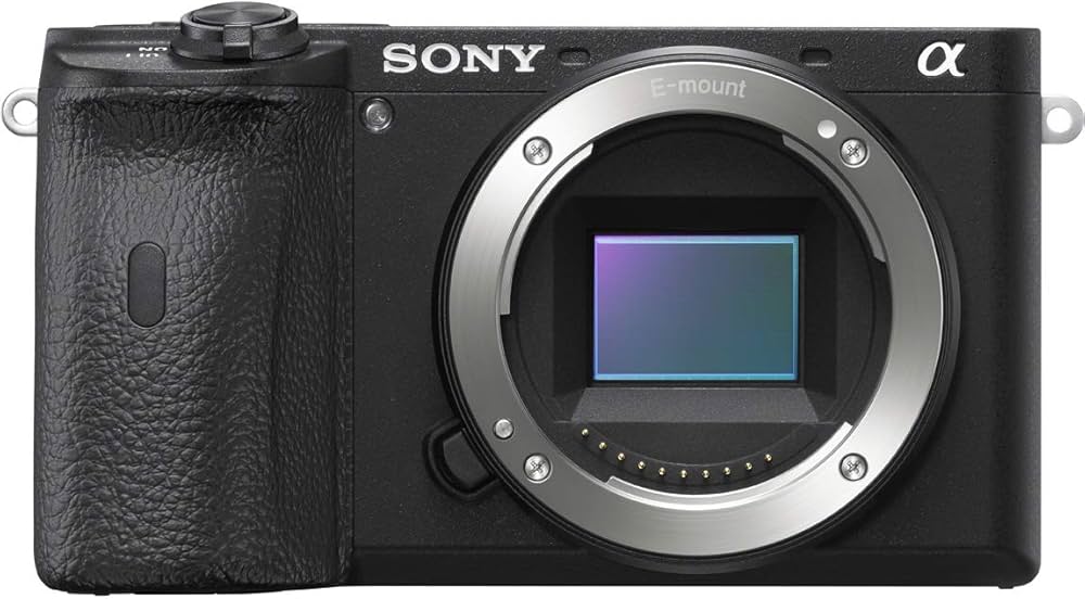 Amazon | SONY(ソニー) ミラーレス一眼 α6600 ボディ ブラック ILCE